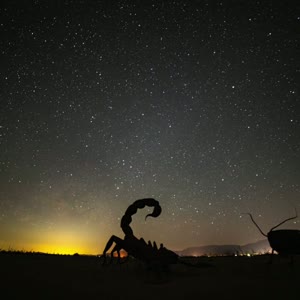 Timelapse del Escorpión Emergente